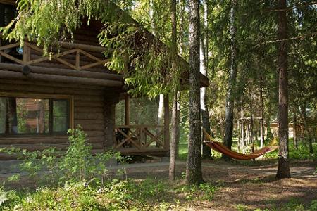 Романов лес