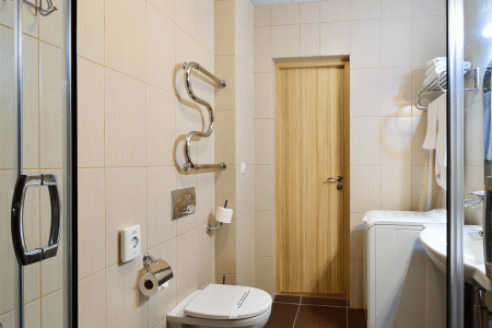 Отель Сибирь санаторий 3* в Белокуриха - Россия