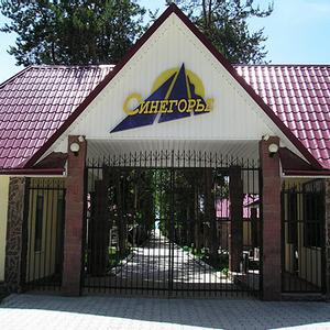 отель Синегорье