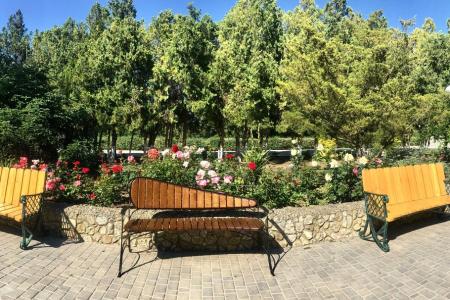 Отель Солнечная Долина Пансионат в Оленевка - Россия