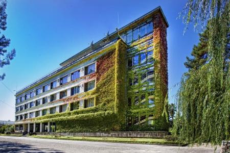 Сосновая Роща