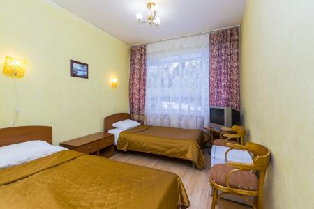 Ателика Сосновый бор