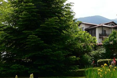 Отель Tanne  в Банско - Болгария