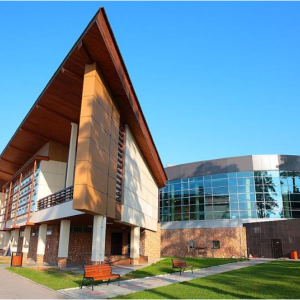 отель Чайка