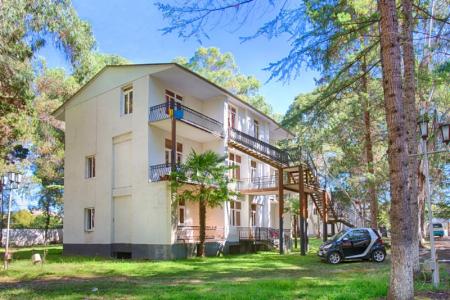 Эвкалиптовая роща