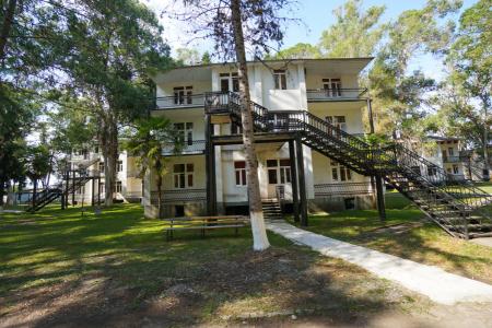 Эвкалиптовая роща