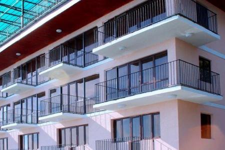 Эвкалиптовая роща