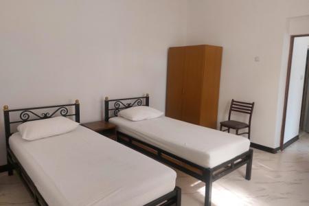 Эвкалиптовая роща