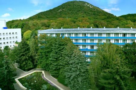 Отель Санаторий Эльбрус в Железноводск - Россия