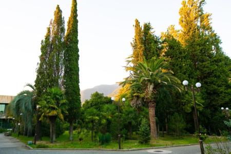 Отель Amza Park Hotel в Гагра - Абхазия