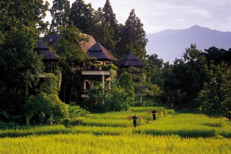 Отель Four Seasons Resort Chiang Mai в Чианг Маи - Таиланд