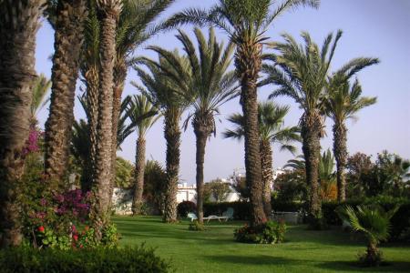 Отель Adrar в Агадир - Марокко