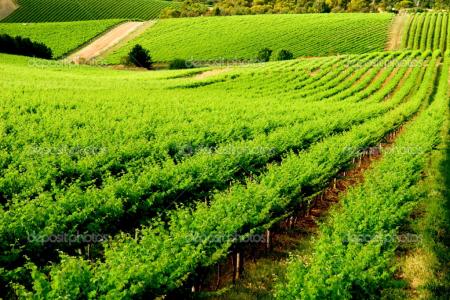 Intercontinental Adelaide