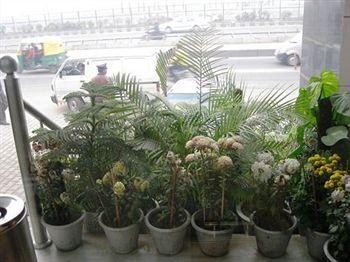 Отель Lohias в Дели - Индия