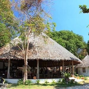отель The Tropical Hideaway