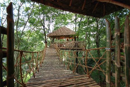 Отель Green Woods Resort в Керала - Индия