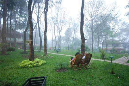 Отель Green Woods Resort в Керала - Индия