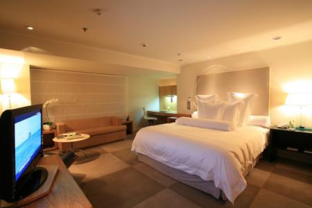 Отель Emiliano в Сан-Паулу - Бразилия