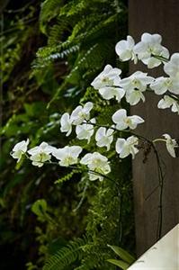 Отель Emiliano в Сан-Паулу - Бразилия