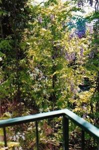 Australian Sunrise Lodge