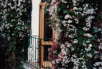 Australian Sunrise Lodge