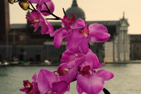 Отель Paganelli в Венеция - Италия