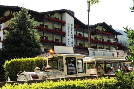 Отель Bellavista в Пинцоло - Италия