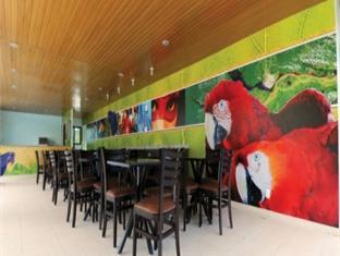 Amazon Jungle Palace