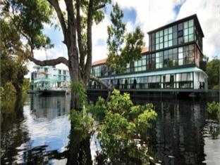 Amazon Jungle Palace