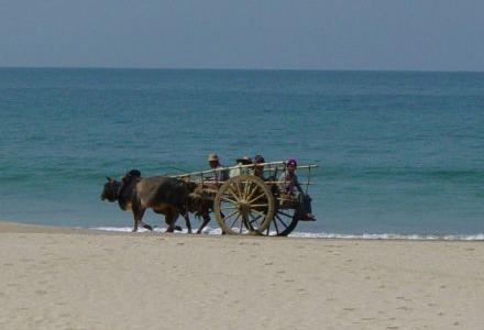 The Palm Beach Resort