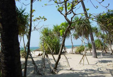 The Palm Beach Resort