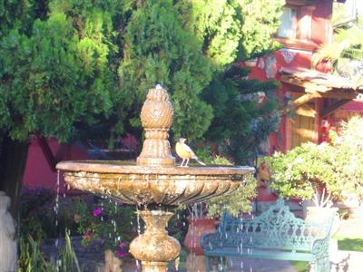 Villa San Jose Hotel & Suites