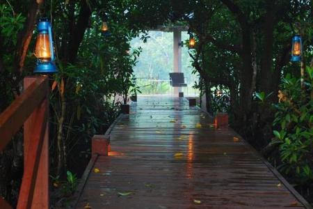 Отель Jetwing Kurulubedda в Галле - Шри-Ланка