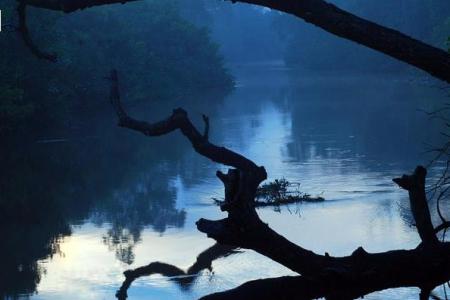 Отель Jetwing Kurulubedda в Галле - Шри-Ланка