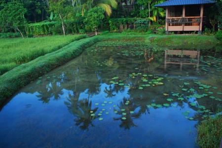 Отель Jetwing Kurulubedda в Галле - Шри-Ланка