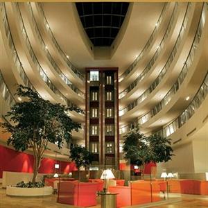 Camino Real (Пачука-де-Сото)