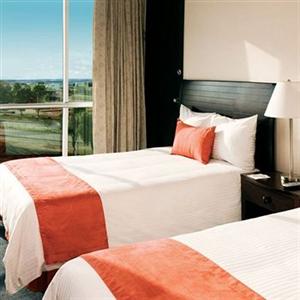 Camino Real (Пачука-де-Сото)