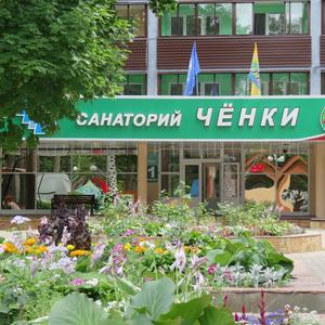 отель Санаторий Чёнки