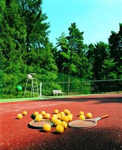 Tiara Chateau Hotel Mont Royal Chantilly