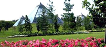 Best Western Westwood Inn