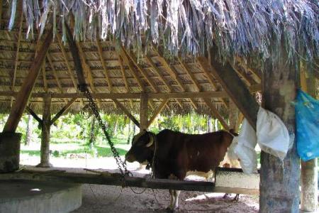 Отель Bernique Guest House в о. Ла Диг - Сейшелы