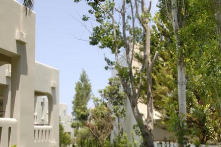 Отель Atlantica Amalthia Beach Hotel в о. Крит-Ханья - Греция