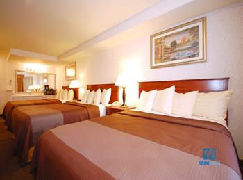 Best Western Airport Plaza Inn