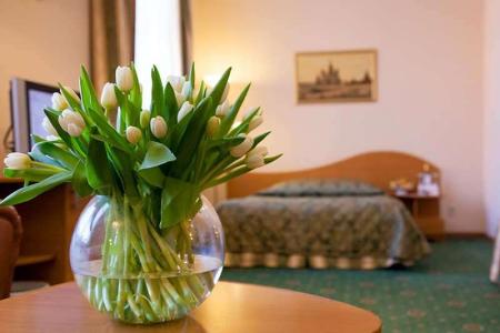 Отель Максима Заря в Москва - Россия