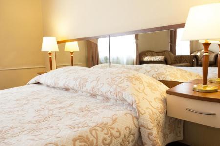 Отель Максима Ирбис в Москва - Россия