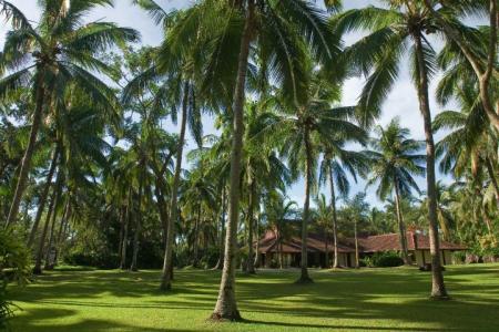 Отель The Farm At San Benito в о. Лусон - Филиппины