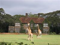 Giraffe Manor
