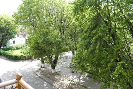 Отель Принцесса Элиза в Зеленоградск - Россия