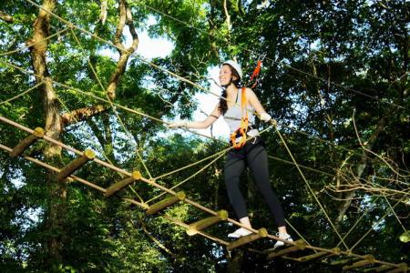 Bourbon Cataratas Resort & Convention Center