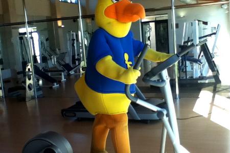 Apartamentos Formentera I